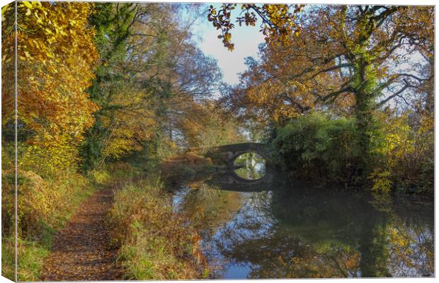 Basingstoke Canal Autumn Canvas Print by Philip Enticknap