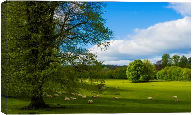 Grounds of Chawton House Library,Hampshire Canvas Print by Philip Enticknap