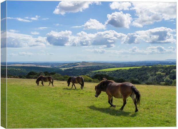 Butser Hill ,Hampshire  Canvas Print by Philip Enticknap