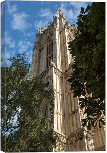  Beverley Minster Canvas Print by Chris  Anderson