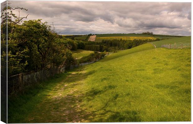  A simple Landscape in Yorkshire Canvas Print by Chris  Anderson