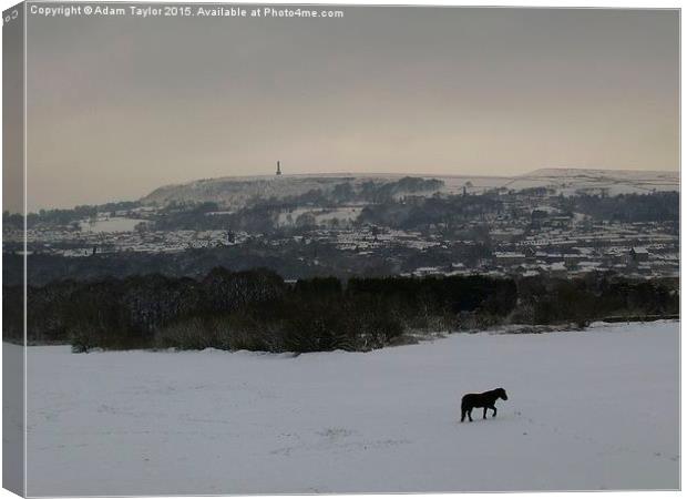  Lonely horse in snowy Lancashire Canvas Print by Adam Taylor