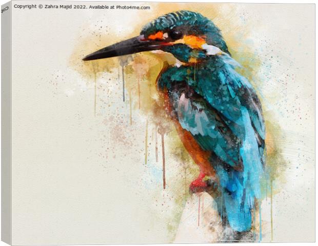 Blue Kingfisher Canvas Print by Zahra Majid