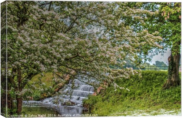 Waterfall inside Leeds Castle Canvas Print by Zahra Majid