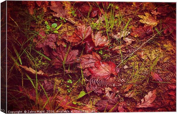 Autumn Red Canvas Print by Zahra Majid