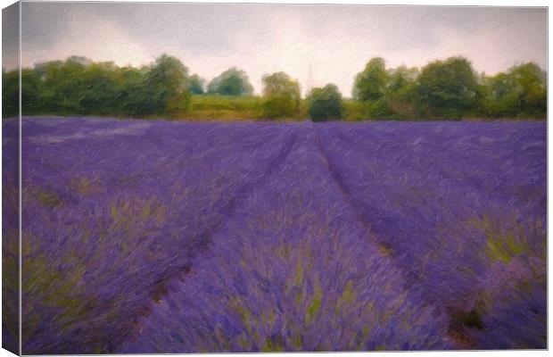 Artsy Lavender Canvas Print by Zahra Majid