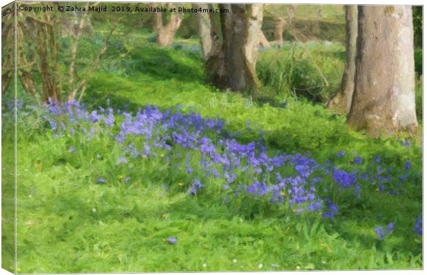 Enchanted Bluebell Galore Canvas Print by Zahra Majid