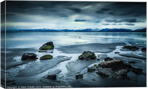 Icelandic Beach Canvas Print by Peter O'Reilly