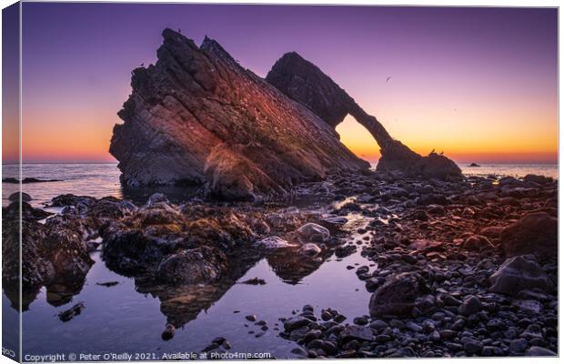 Bow Fiddle Rock at Dawn Canvas Print by Peter O'Reilly