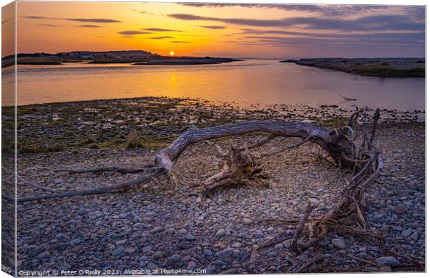 River Spey Estuary Sunset Canvas Print by Peter O'Reilly