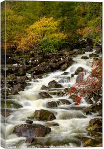 River Rapids Canvas Print by Peter O'Reilly