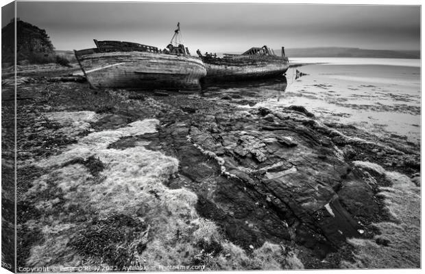 Abandoned Fishing Boats, Isle of Mull Canvas Print by Peter O'Reilly