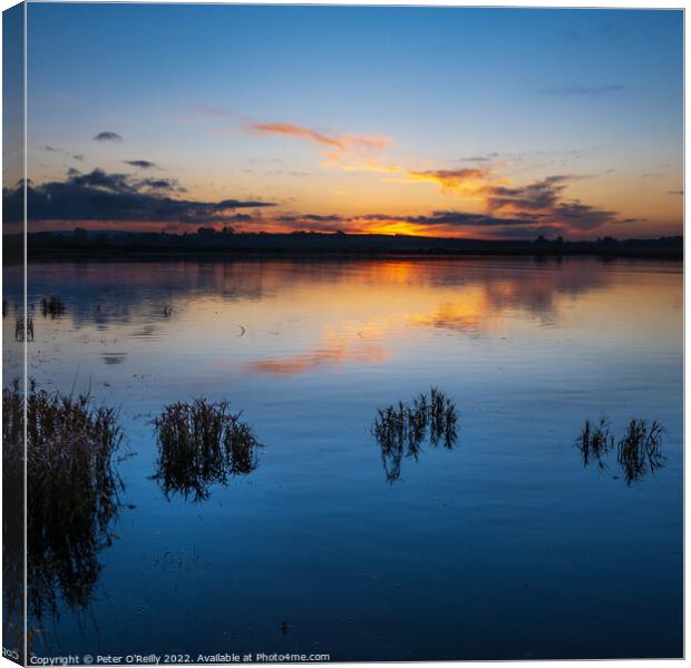 Spey Estuary Sunset Canvas Print by Peter O'Reilly