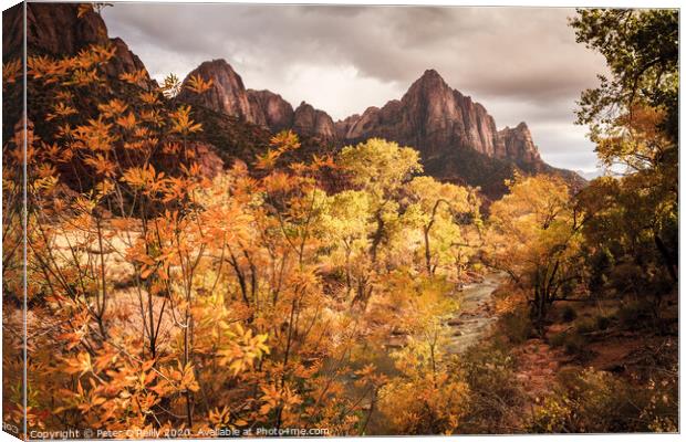 The Watchman, Zion National Park Canvas Print by Peter O'Reilly