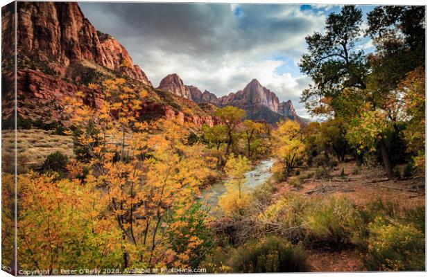 The Watchman, Zion National Park Canvas Print by Peter O'Reilly
