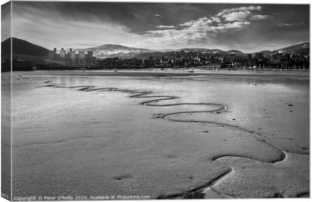 Conwy Estuary, Low Tide Canvas Print by Peter O'Reilly