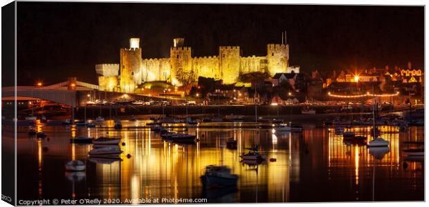 Conwy Castle at Night Canvas Print by Peter O'Reilly