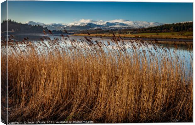 Snowdonia Mountains & the River Conwy Canvas Print by Peter O'Reilly