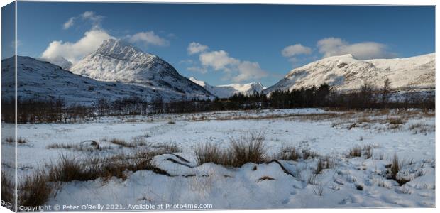 Ogwen Valley in Winter Canvas Print by Peter O'Reilly