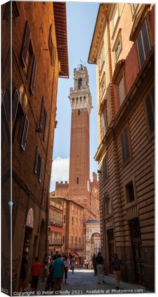 Torre de Mangia, Siena, Italy Canvas Print by Peter O'Reilly