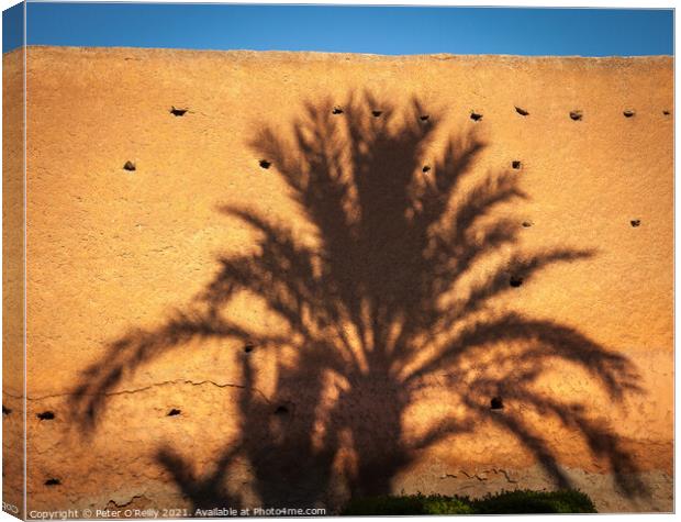 Palm Shadow Canvas Print by Peter O'Reilly
