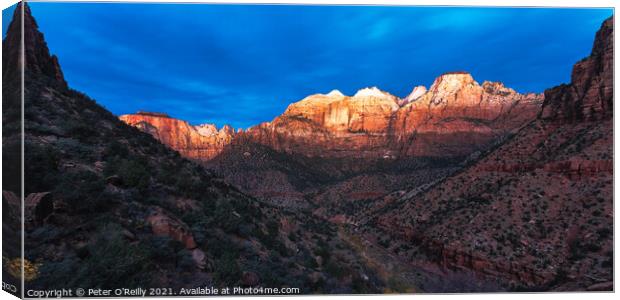First Light, Zion National Park Canvas Print by Peter O'Reilly