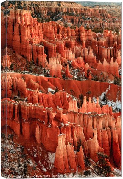 Sunrise at Bryce Canyon #1 Canvas Print by Peter O'Reilly