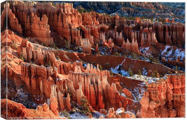 Sunrise at Bryce Canyon #6 Canvas Print by Peter O'Reilly