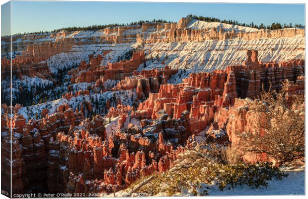 Snow in Bryce Canyon Canvas Print by Peter O'Reilly