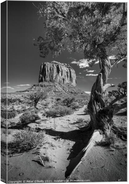 Monument Valley #6 Canvas Print by Peter O'Reilly