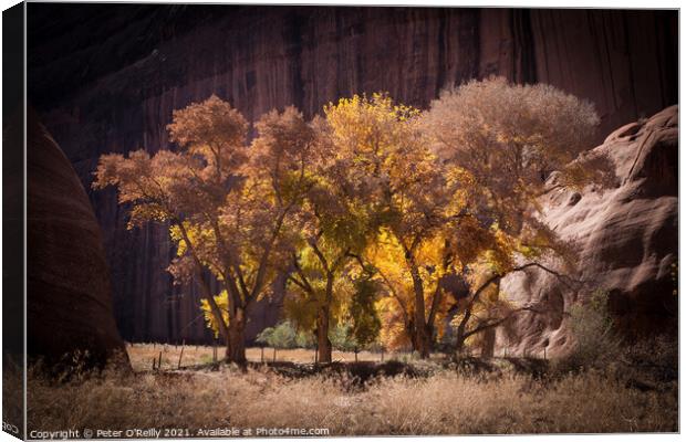 Autumn Splendour #3 Canvas Print by Peter O'Reilly