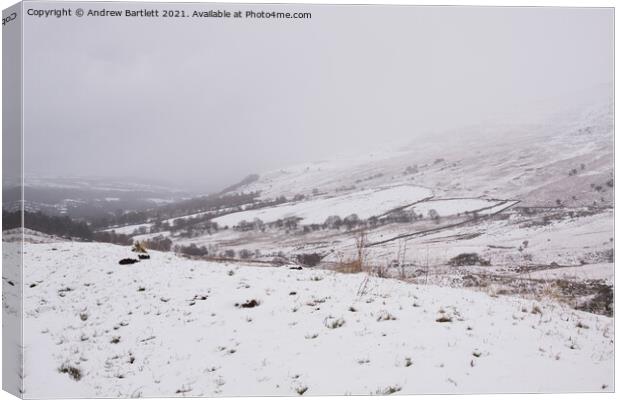 Snow at the Storey Arms, Brecon Beacons, South Wales, UK Canvas Print by Andrew Bartlett