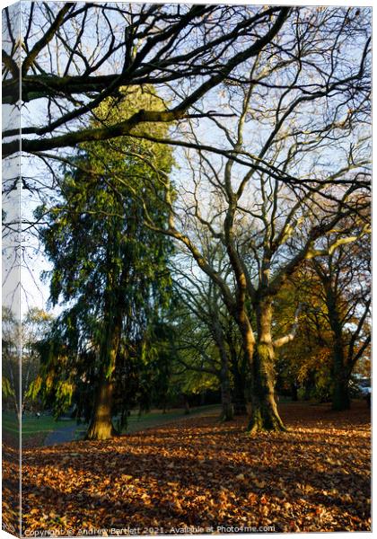 Autumn scenes, Merthyr Tydfil, South Wales, UK. Canvas Print by Andrew Bartlett