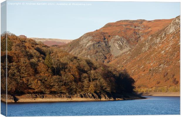 Autumn colours at Elan Valley, Mid Wales, UK. Canvas Print by Andrew Bartlett