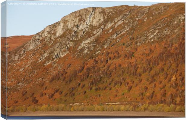 Autumn colours at Elan Valley, Mid Wales, UK. Canvas Print by Andrew Bartlett