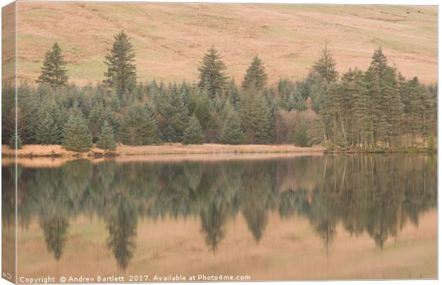 Cantref Reservoir, South Wales, UK. Canvas Print by Andrew Bartlett