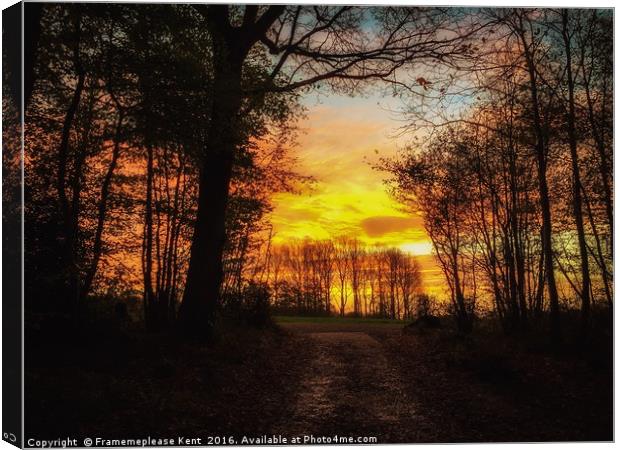 Shepherds warning Canvas Print by Framemeplease UK