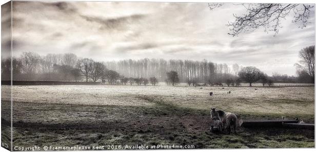 Morning fog in Kent  Canvas Print by Framemeplease UK