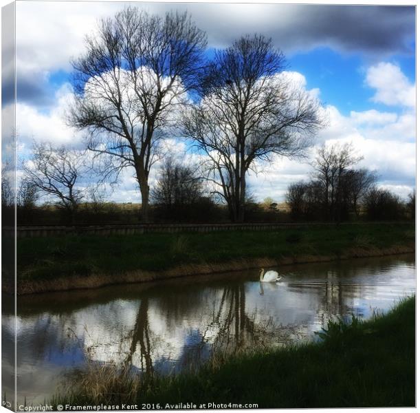 Swan lake , Kent  Canvas Print by Framemeplease UK