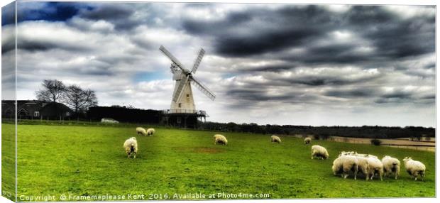 Woodchurch in the Spring  Canvas Print by Framemeplease UK