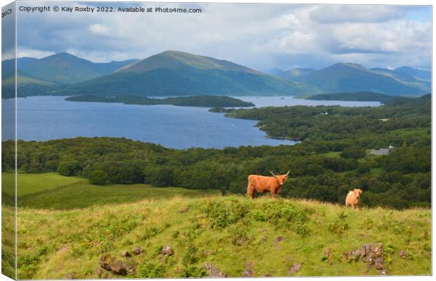 Highland Cattle overlooking Loch Lomond Canvas Print by Kay Roxby