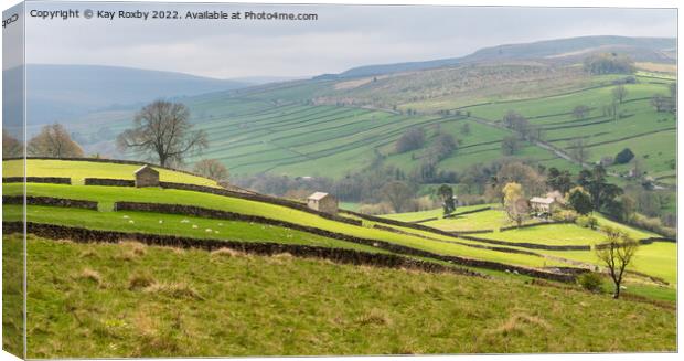 Yorkshire Dales Canvas Print by Kay Roxby