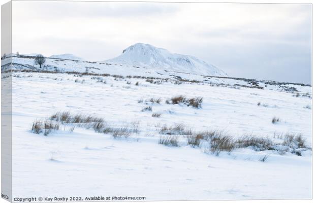 Dumgoyne in winter Canvas Print by Kay Roxby