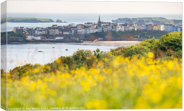 Tenby summer haze Canvas Print by Kay Roxby