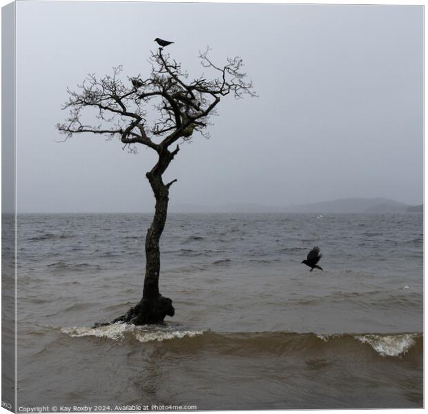 moody Loch Lomond 1 Canvas Print by Kay Roxby