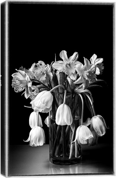  Wilting flowers fine art Canvas Print by Stephen Giles