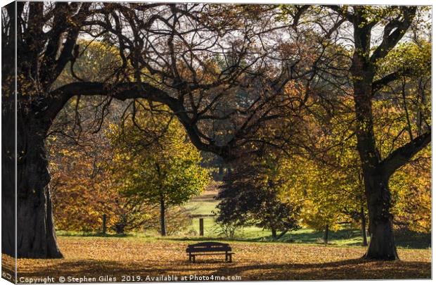 A seat with a view Canvas Print by Stephen Giles