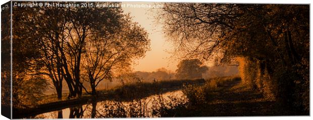  Autumn Gold Canvas Print by Phil Houghton