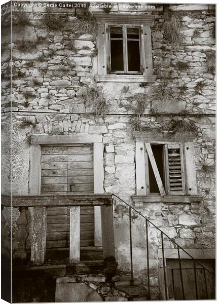 Derelict townhouse, Labin, Croatia. Canvas Print by Bertie Carter