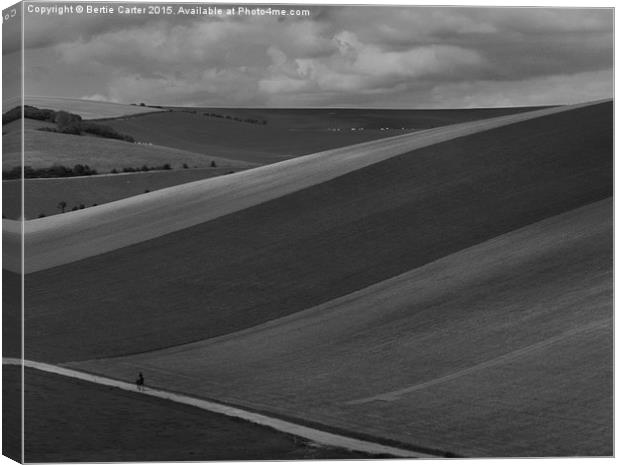  Black and white fields Canvas Print by Bertie Carter